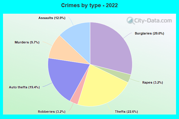 Crimes by type - 2022