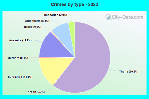 Crimes by type - 2022