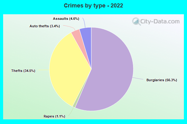 Crimes by type - 2022