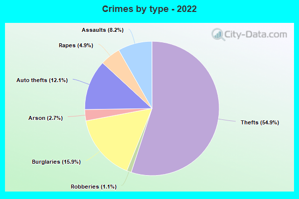 Crimes by type - 2022