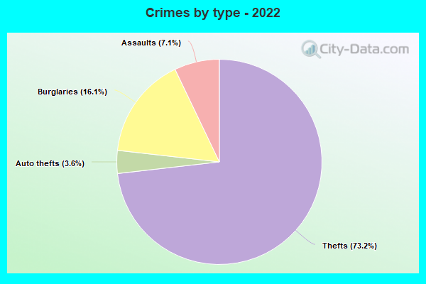 Crimes by type - 2022