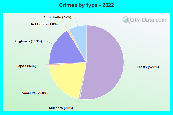 Crimes by type - 2022