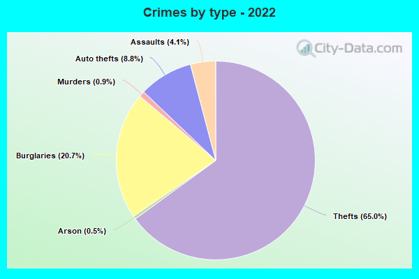 Crimes by type - 2022