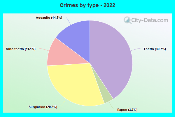 Crimes by type - 2022