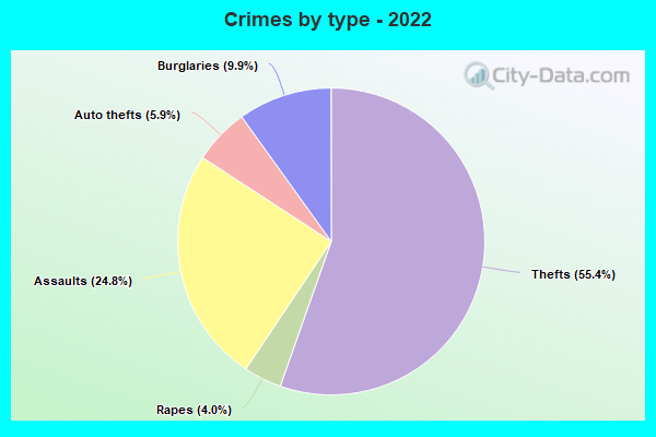 Crimes by type - 2022