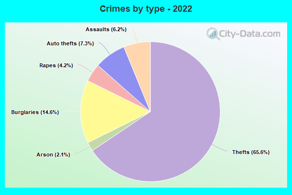 Crimes by type - 2022