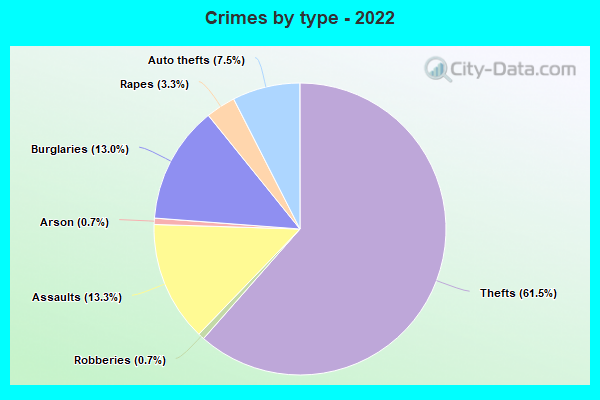 Crimes by type - 2022