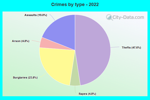 Crimes by type - 2022