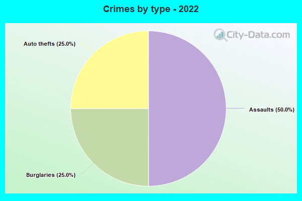 Crimes by type - 2022