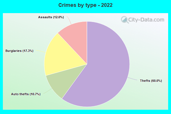 Crimes by type - 2022