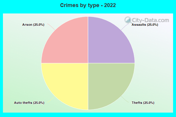 Crimes by type - 2022