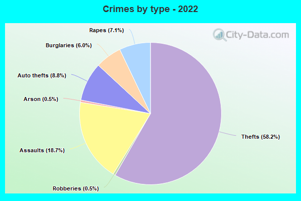 Crimes by type - 2022