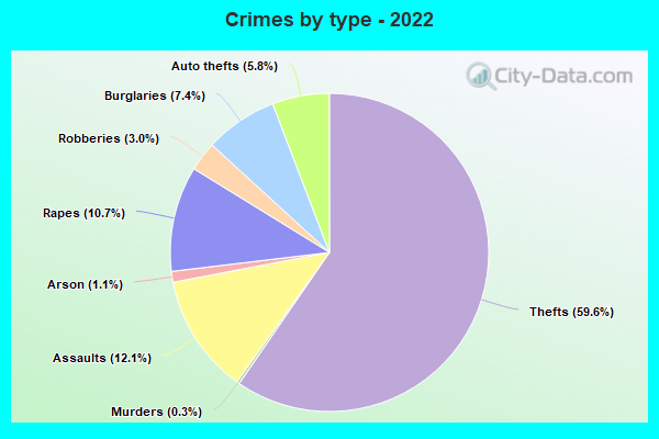 Crimes by type - 2022