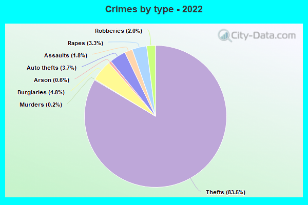 Crimes by type - 2022