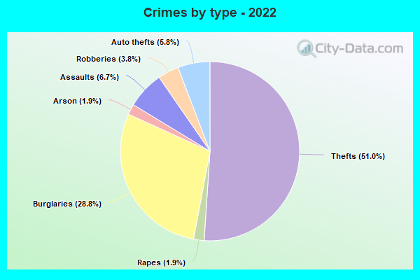 Crimes by type - 2022