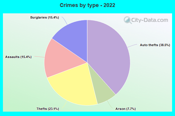 Crimes by type - 2022