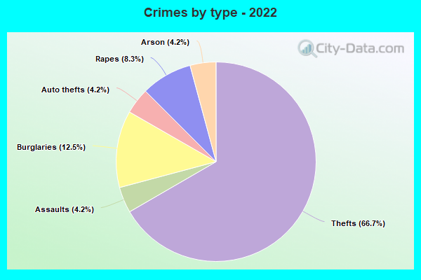 Crimes by type - 2022