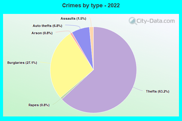 Crimes by type - 2022