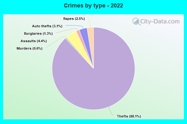 Crimes by type - 2022