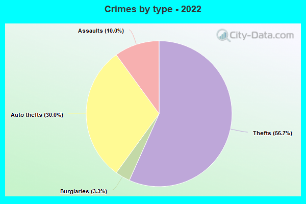 Crimes by type - 2022