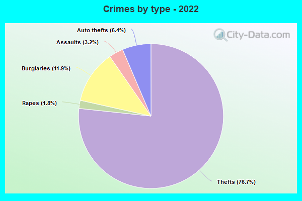 Crimes by type - 2022