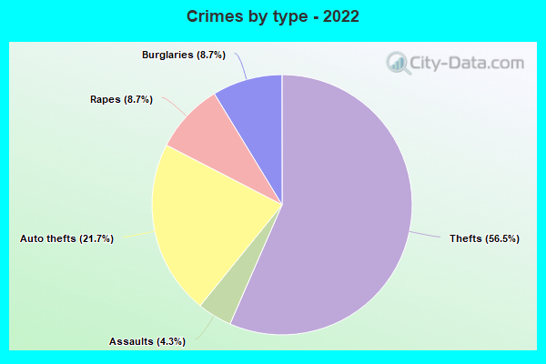 Crimes by type - 2022