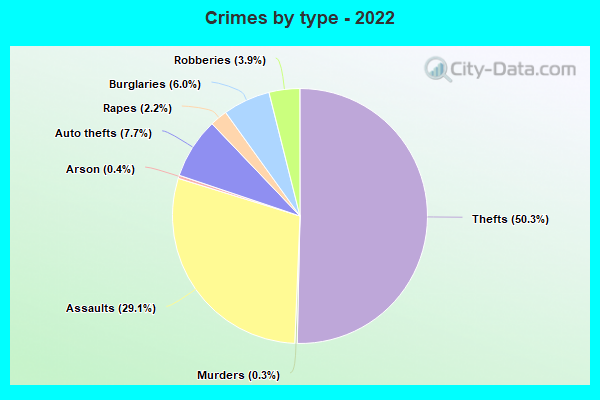 Crimes by type - 2022