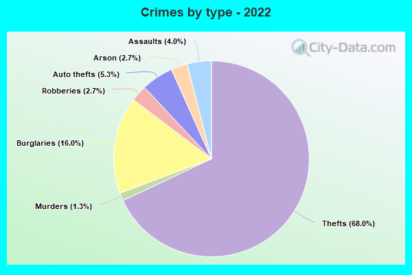 Crimes by type - 2022