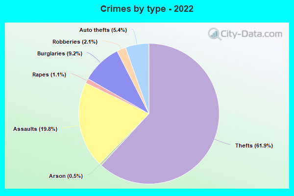 Crimes by type - 2022