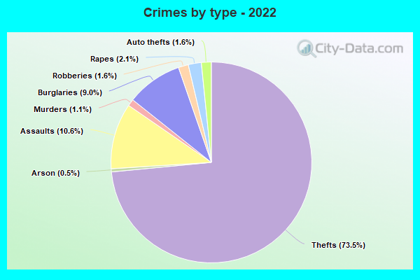 Crimes by type - 2022