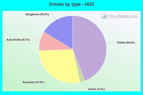 Crimes by type - 2022