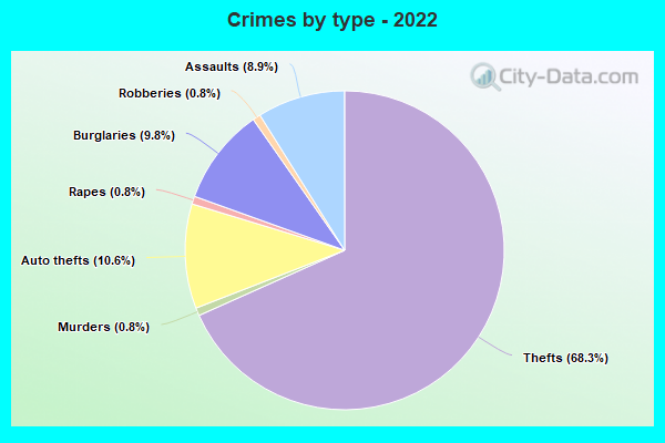 Crimes by type - 2022