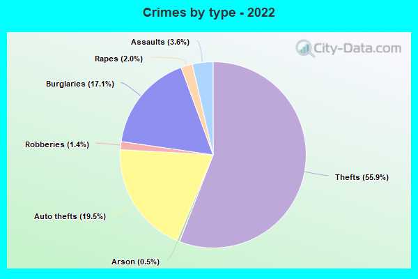 Crimes by type - 2022