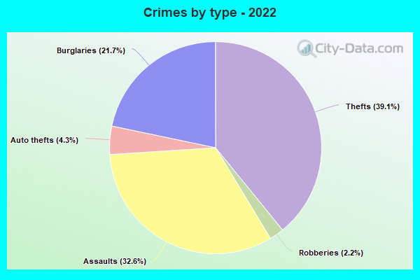 Crimes by type - 2022