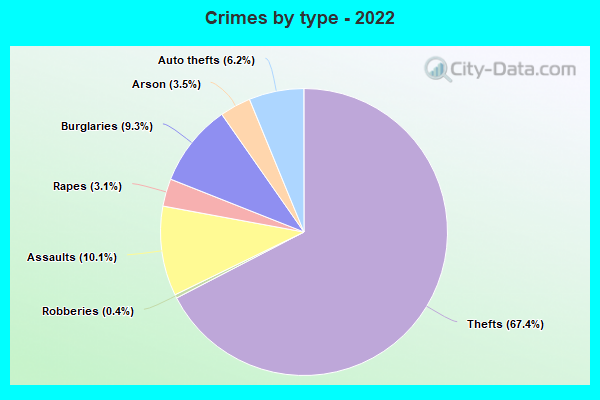 Crimes by type - 2022