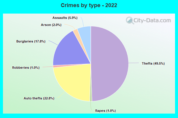 Crimes by type - 2022