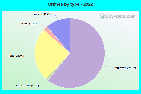 Crimes by type - 2022