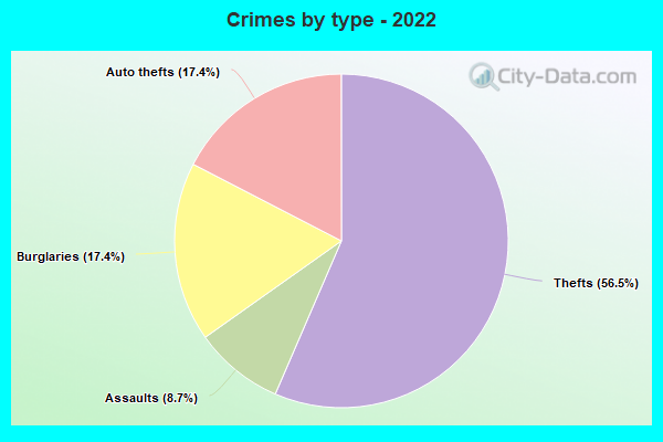 Crimes by type - 2022