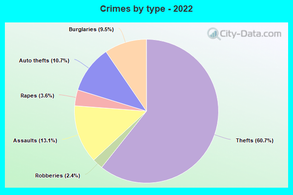 Crimes by type - 2022