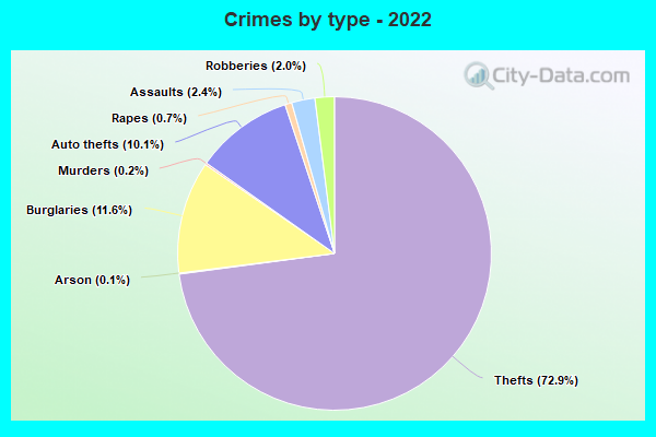 Crimes by type - 2022