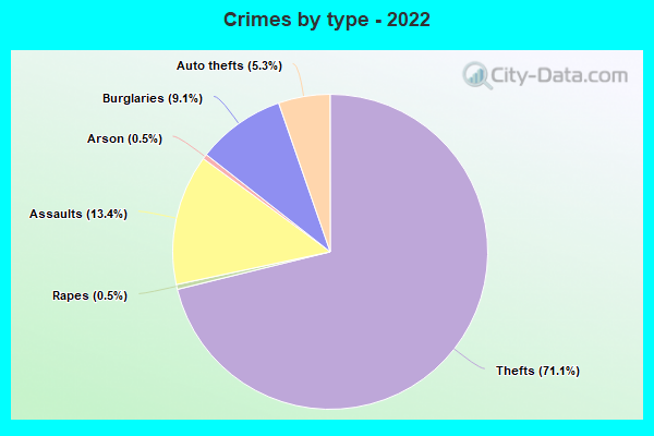 Crimes by type - 2022