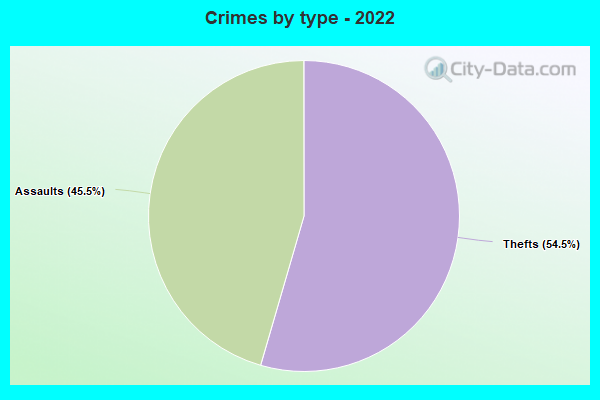 Crimes by type - 2022