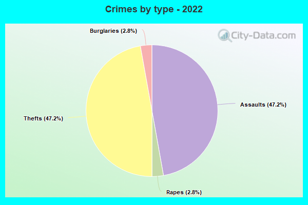 Crimes by type - 2022