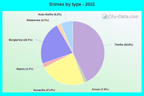 Crimes by type - 2022