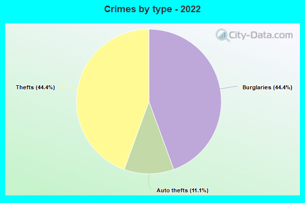 Crimes by type - 2022