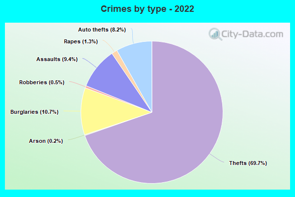 Crimes by type - 2022