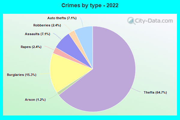 Crimes by type - 2022