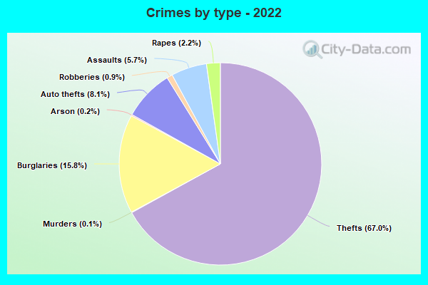 Crimes by type - 2022