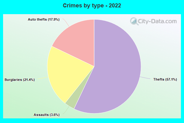 Crimes by type - 2022