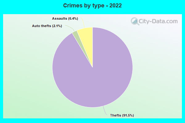 Crimes by type - 2022